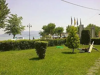 βιολέττα